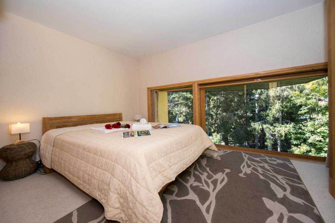 Residence Grand Roc - Ancolies 104 - Happy Rentals 霞慕尼 外观 照片